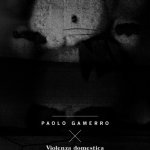 VIOLENZA DOMESTICA, Paolo Gamerro 