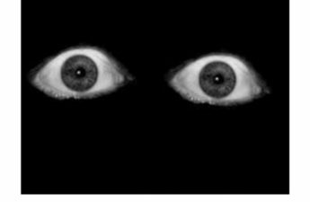 6041023-creepy-horror-eye-eyes-dark-grunge-aesthetic-aesthetic-black-eyes-png-920_723_preview